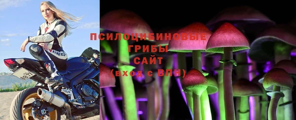 дурь Верея